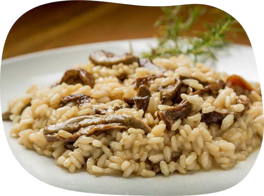 Prato de risoto cremoso com fatias de cogumelo eryngui dourado e raminho de ervas.